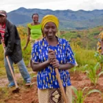 agriculture afrique