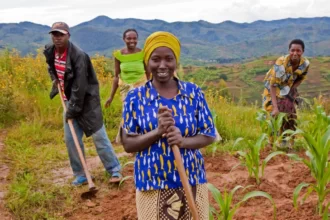 agriculture afrique