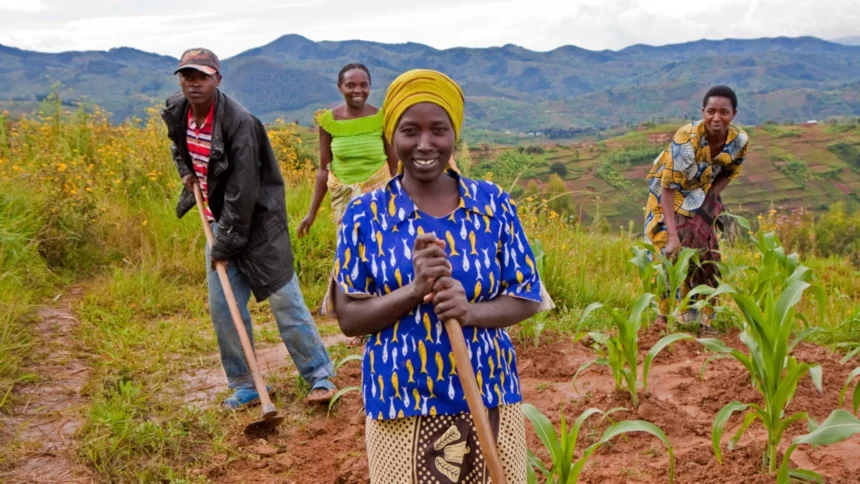 L’Afrique subsaharienne génère 1 526 Dollars par personne dans l’agriculture 1 agriculture afrique