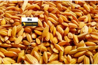 blé dossier