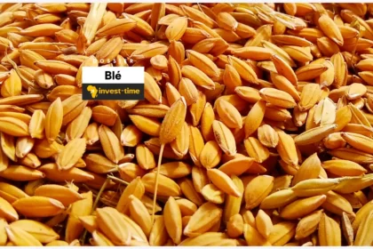 blé dossier