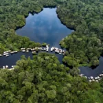 Bassin Congo forêts