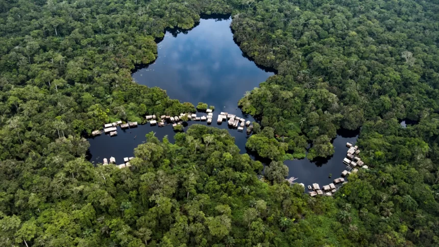 Bassin du Congo : 130 millions d’Euros consacrés à la protection des forêts 1 Bassin Congo forêts