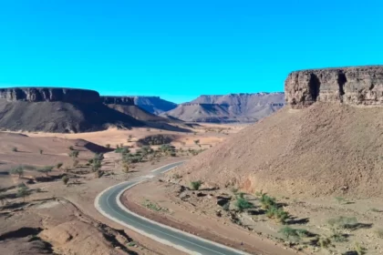 Paysage mauritanien