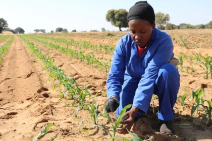 Afrique : terreau d’opportunités, parent pauvre de l’investissement