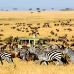 Tourisme en afrique, retombées économiques