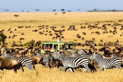Tourisme en afrique, retombées économiques