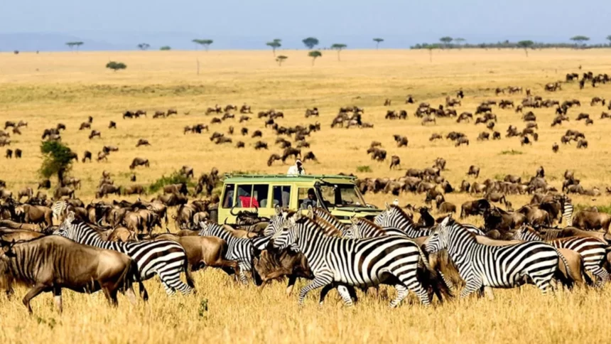 Tourisme en afrique, retombées économiques