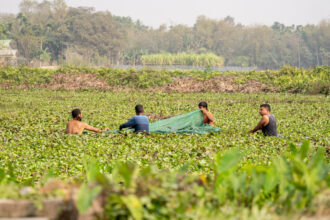 intrant agricoles