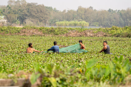 intrant agricoles