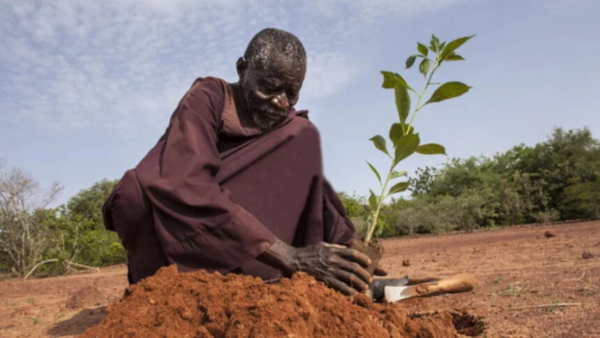 insécurité alimentaire