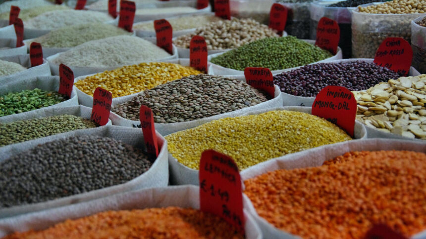 Semences améliorées : un marché juteux qui échappe encore aux Africains 1 Afrique, la manne des semences améliorées échappe encore aux Africains