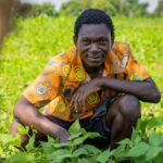 Malawi : un prêt de 2,6 milliards de dollars auprès d’Afreximbank pour la production de riz, maïs, soja et coton