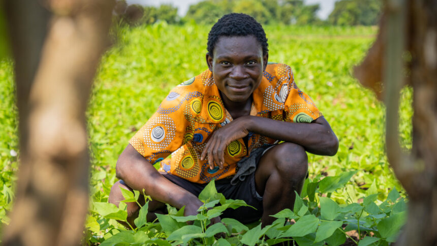 Malawi : un prêt de 2,6 milliards de dollars auprès d’Afreximbank pour la production de riz, maïs, soja et coton