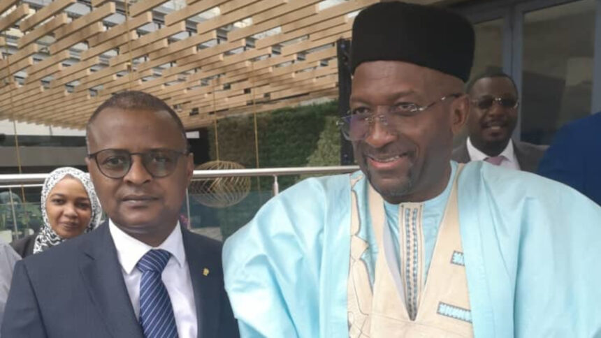 Le Camerounais Harouna Bako nommé Directeur général de Cotco dans un contexte de tensions 1 El Hadj BAKO Harouna, nouveau dg