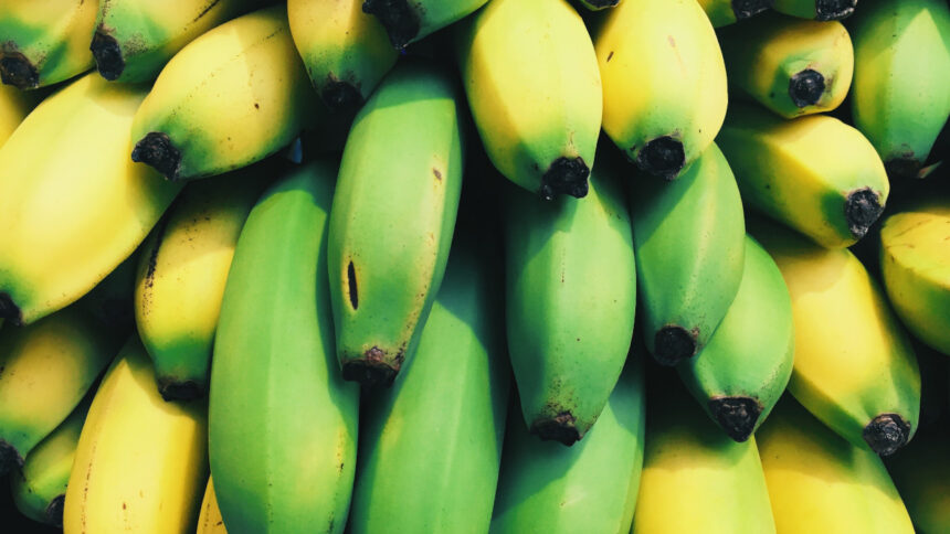 banane afrique