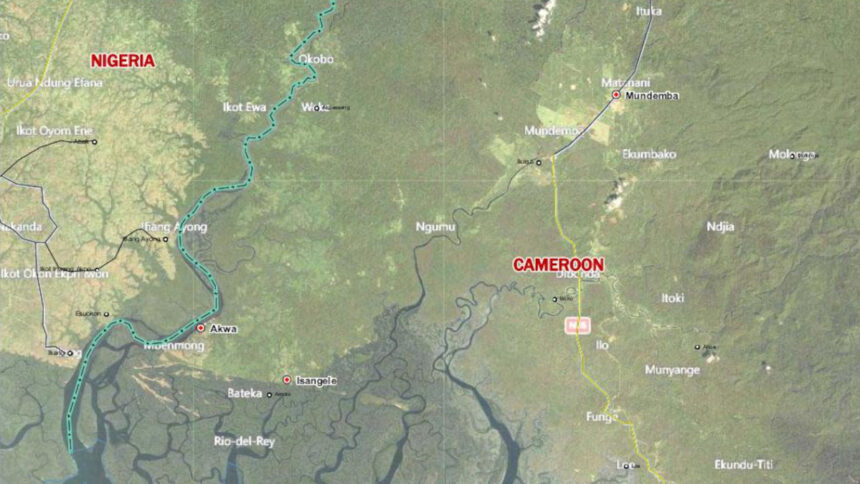 Cameroun - Nigeria : des flux de marchandises insignifiants, pourtant d’énormes marges de progression existent 1 relations cameroun nigeria