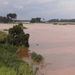 Fleuve Sanaga