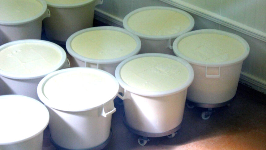 Secteur agropastoral en Afrique : une faible teneur en lait 1 Lait Afrique