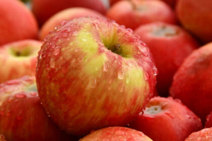pomme sud-africaine