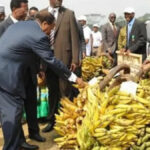 Le Président de la République du Cameroun, S.E. Paul Biya à la fête internationale de la banane-plantain