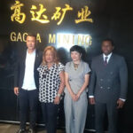 API Cameroun
