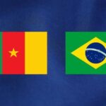 Échanges commerciaux Cameroun et Brésil