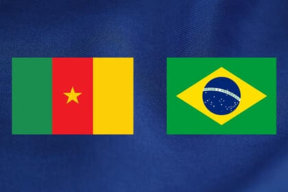 Échanges commerciaux Cameroun et Brésil
