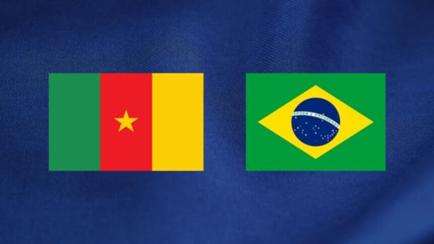 Échanges commerciaux Cameroun et Brésil