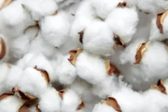 Coton Afrique