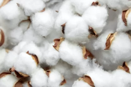 Coton Afrique