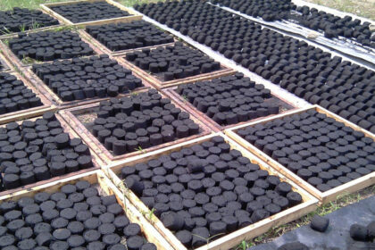 Le marché du charbon vert, facteur de la transition énergétique en Afrique