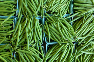 Le potentiel insuffisamment valorisé du marché africain du haricot vert