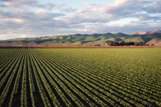 Agriculture Afrique