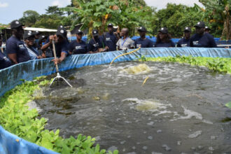 Aquaculture Cote d'Ivoire