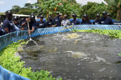 Aquaculture Cote d'Ivoire