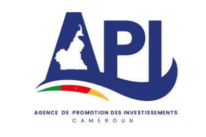 api cameroun