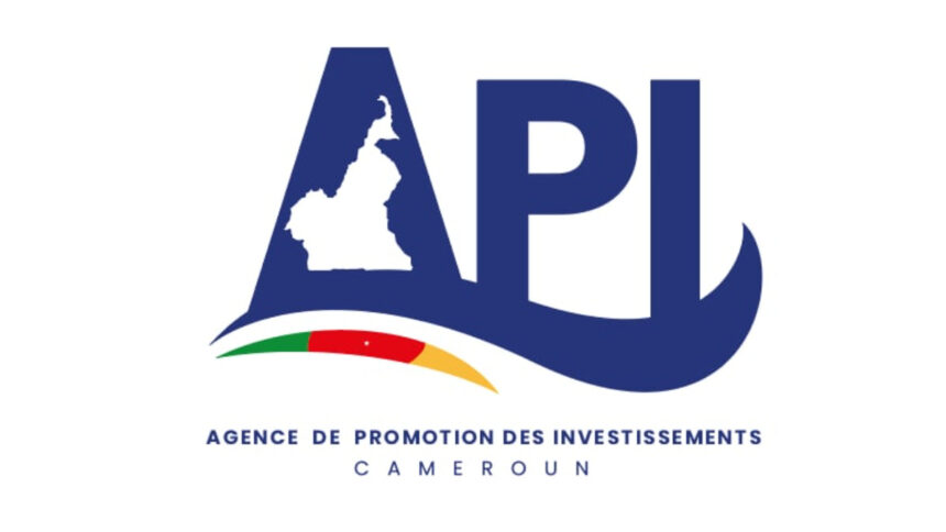 Cameroun : l'API a signé 346 conventions pour 10 milliards de dollars US d'investissement privé 1 api cameroun