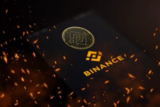 binance naira