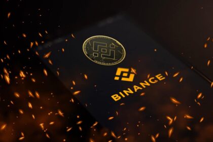 binance naira