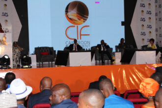 CIF2023