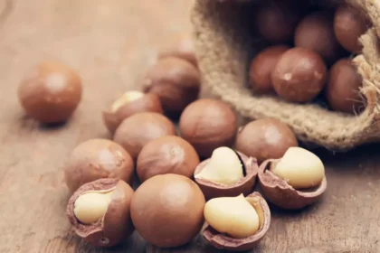 noix de macadamia