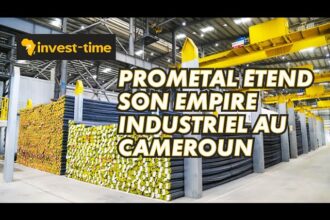 Prometal annonce deux grandes nouvelles usines au Cameroun pour l'aluminium et les minerais de fer