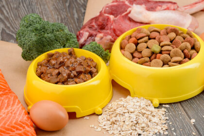 aliments pour animaux