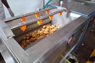 chips de Faratsiho