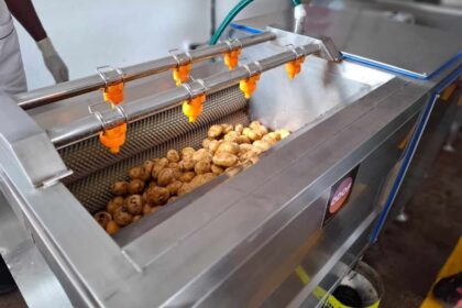 chips de Faratsiho