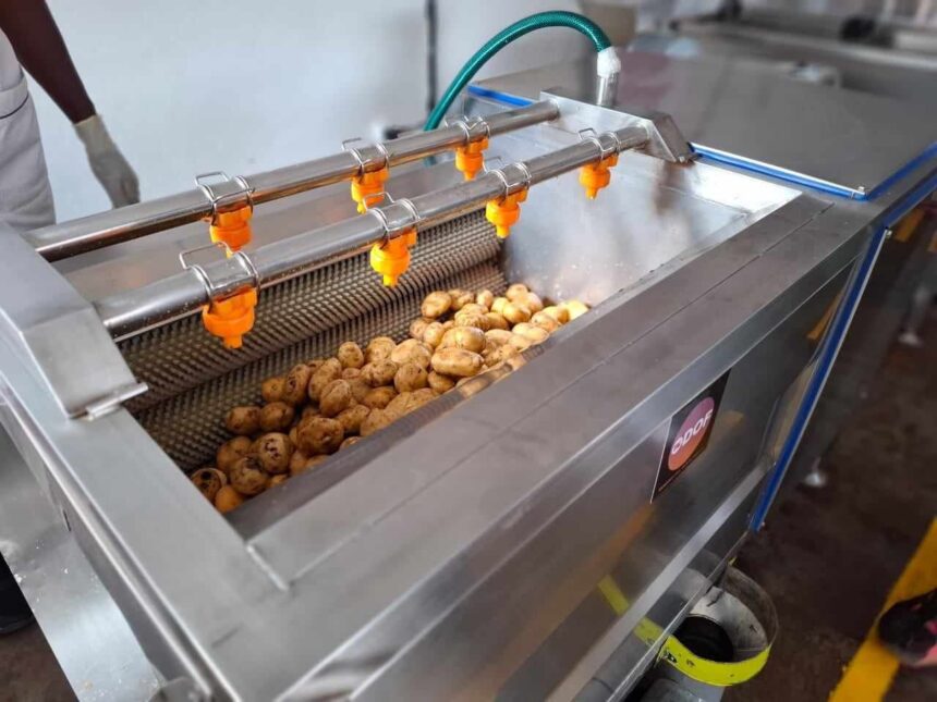 chips de Faratsiho
