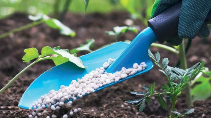 Sénégal : la subvention aux intrants agricoles grimpe à 197 millions USD, en hausse de 20% 1 intrants senegal