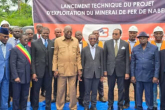 Projet d’exploitation du minerai de fer de Nabeba