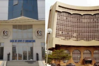 Cameroun : Comment la Caisse des dépôts et consignations se positionne dans le système des marchés publics